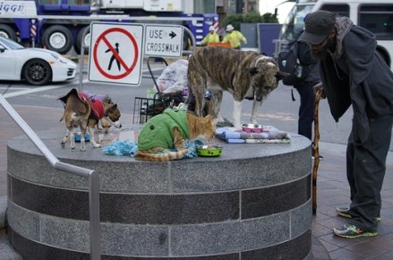 31727357914_d47893af4e_z (2)