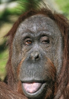 37187167940_9f92749dc3_o (1)