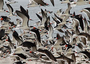 6926571673_b052d39986_o