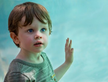 18452911344_9e9d168898_b