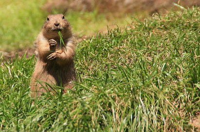 3452480169_ba64f90b2d_z