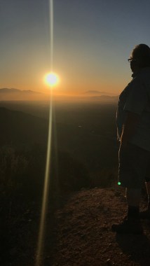 38654982750_538db279ae_z