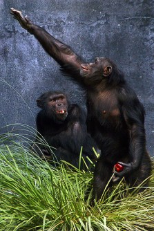 3172710386_646d73583e_z