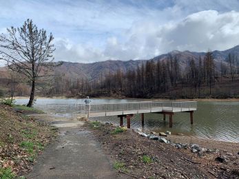 56120149_10161704005840385_1523652202445406208_n