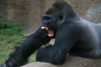 3587836824_613165cdc1_z